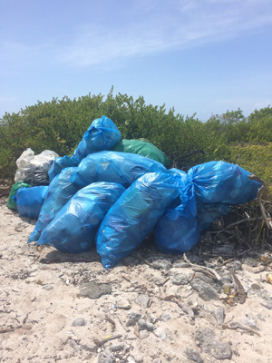 Beach clean up bags_300