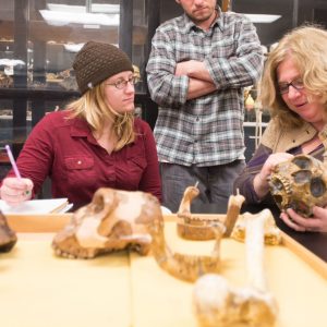 Professor holding a skull in the bone lab with students