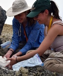 Eloise Blatherwick and Jennie Beltrame using Plaster of Paris to encase an Eocene skeleton that will be carefully cleaned at the Primate Origins Lab on campus