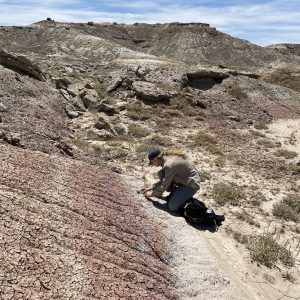 Female student crouching and prospecting for fossils in Wyoming