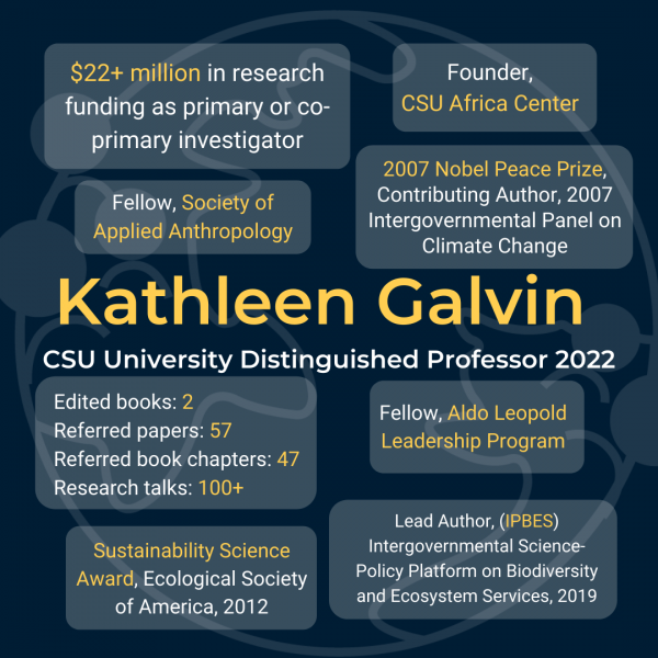 Infographic showing some accomplishments from Galvin's career related to publications, research funds, and titles