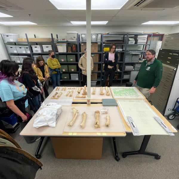 High school students and archaeology professor look at bison bones