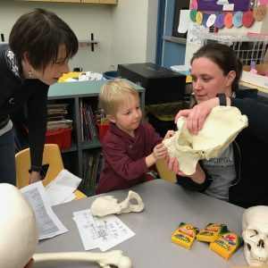 Woman shows young child a skull during Elementary School Science Night