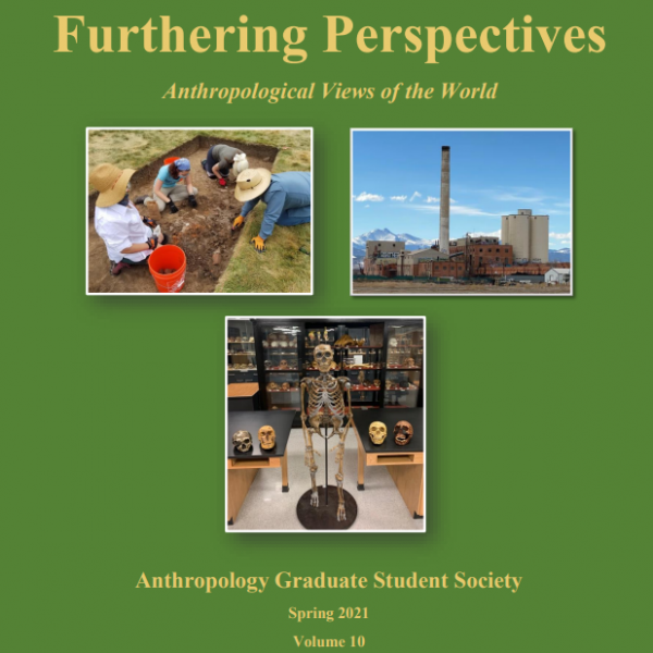Journal cover of Furthering Perspectives, Volume 10 (2021)