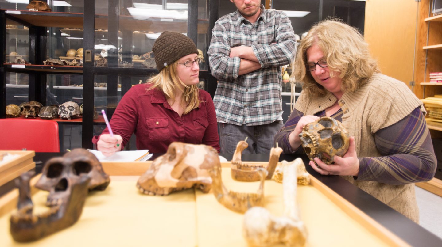 Professor holding a skull in the bone lab with students