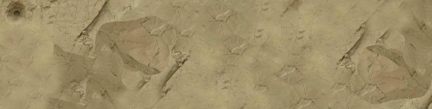 Wall of dirt