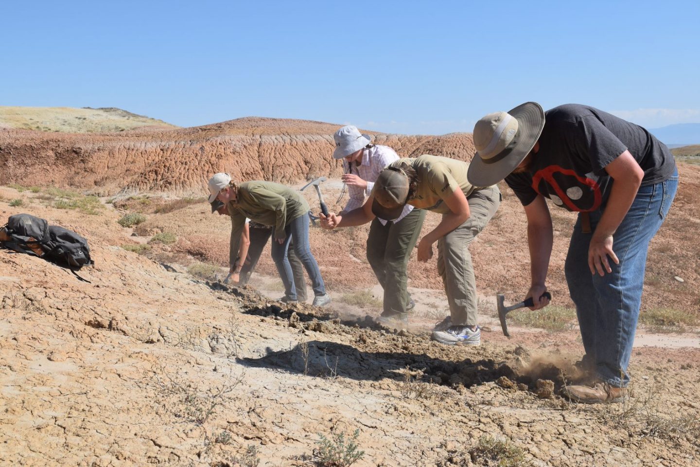 Line of students digging in the ground outside