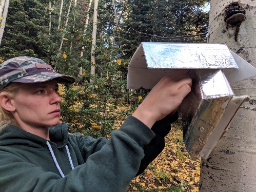 Amanda Potter, geography major, conducting fieldwork in the mountains of Colorado with Associate Professor Jason Sibold