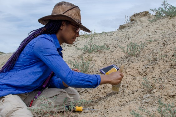 Student prospecting for fossils at the 2018 Paleontology Field School in the Bighorn Basin of Wyoming