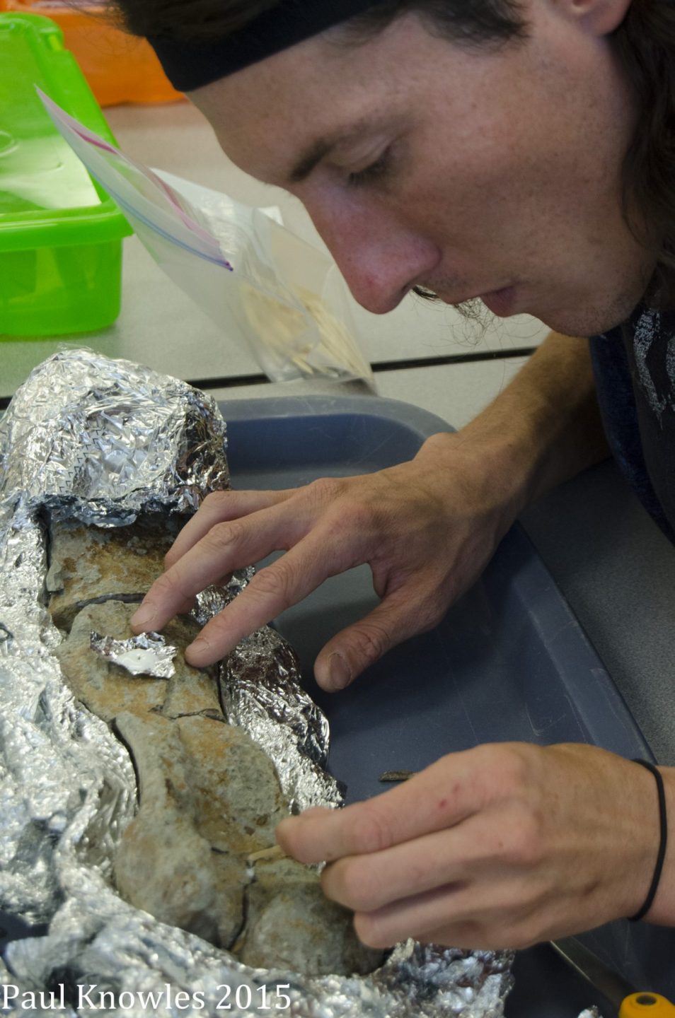 Ben Rodwell working in the Primate Origins Lab after the 2015 Paleontology Field School.