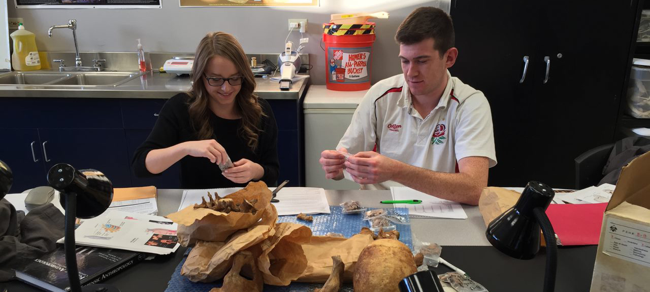 Two students working with bones in the lab