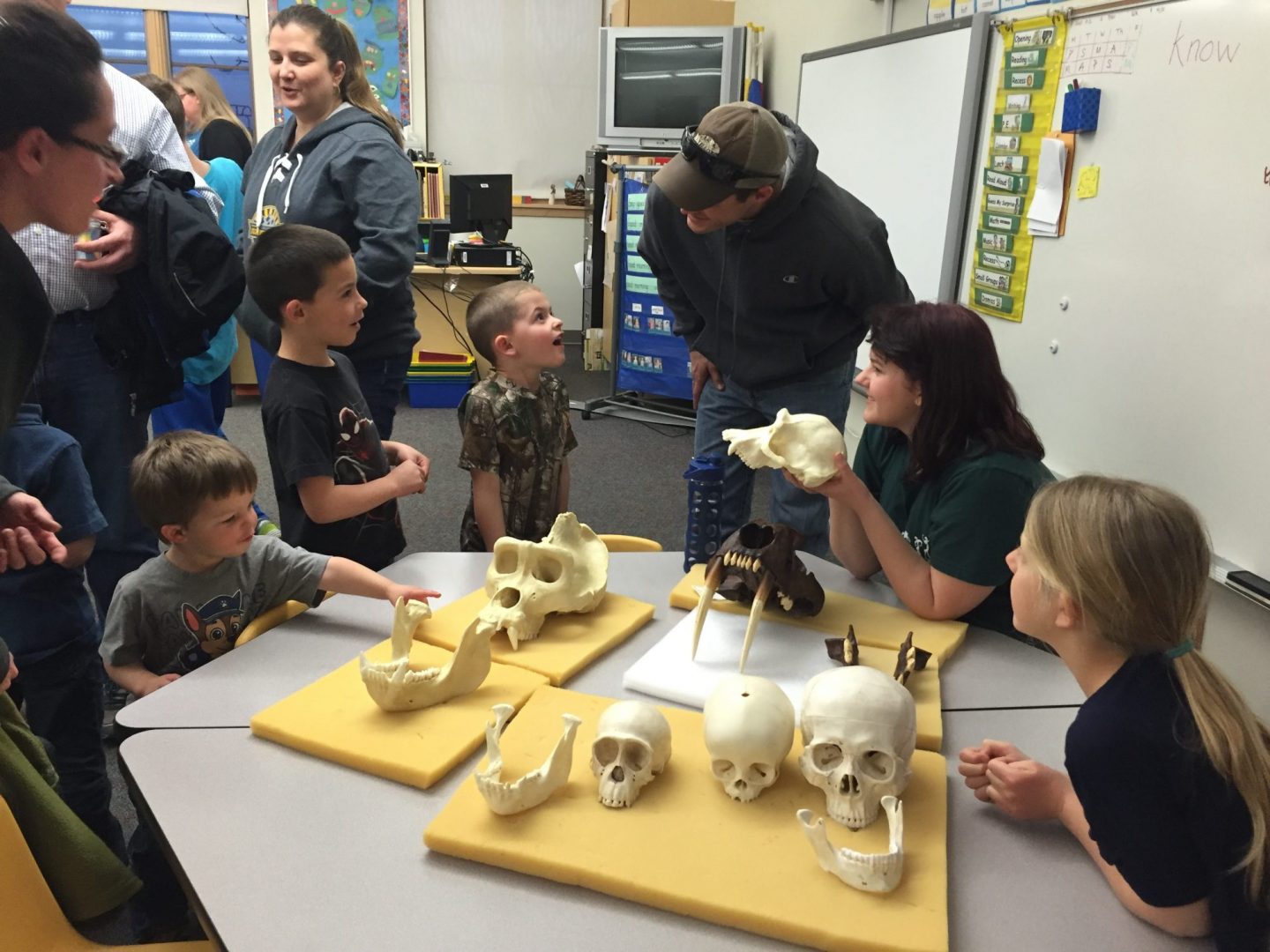 Elementary school kids impressed by skulls and bones