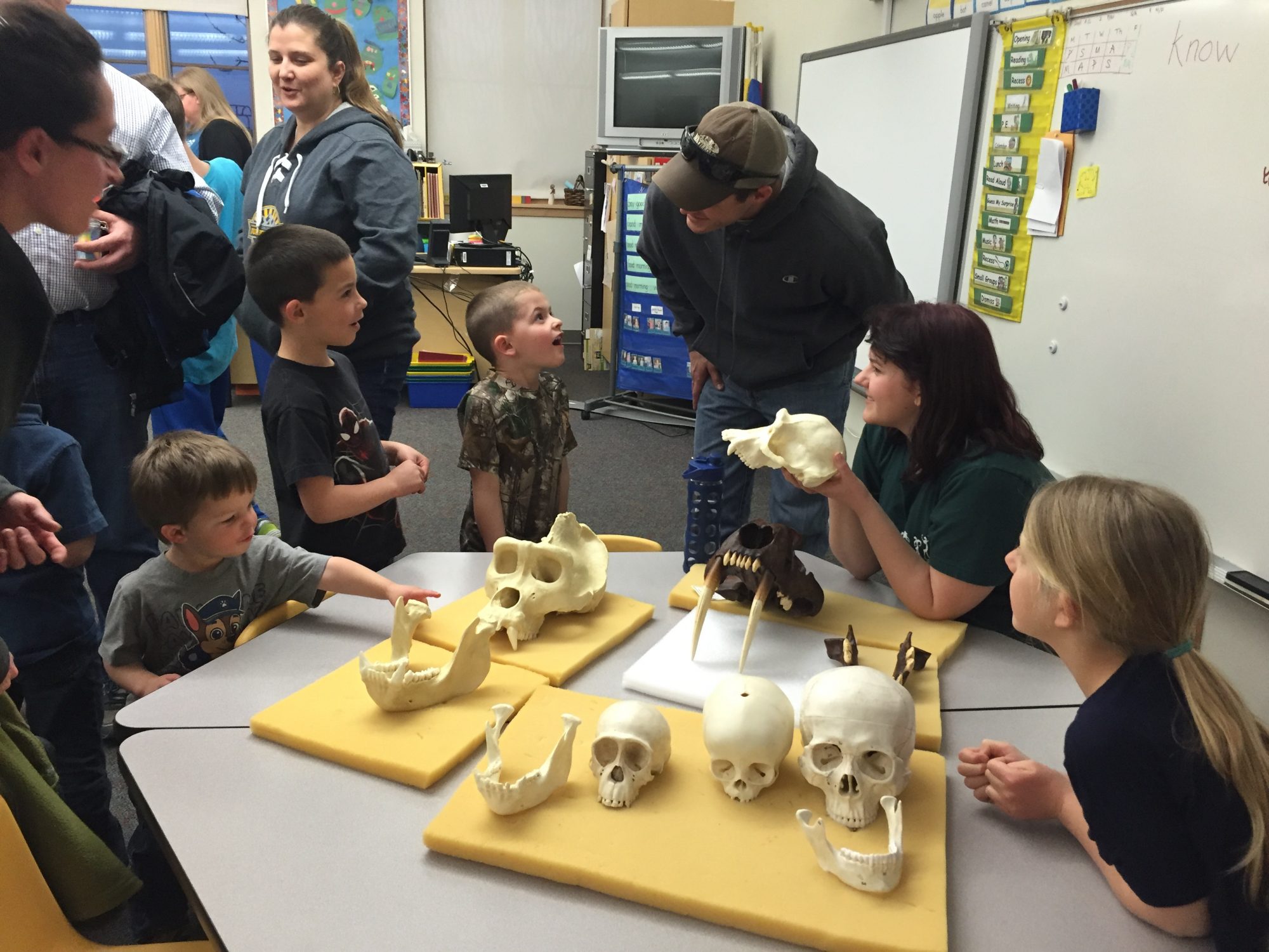 Elementary school kids are shown skulls and bones