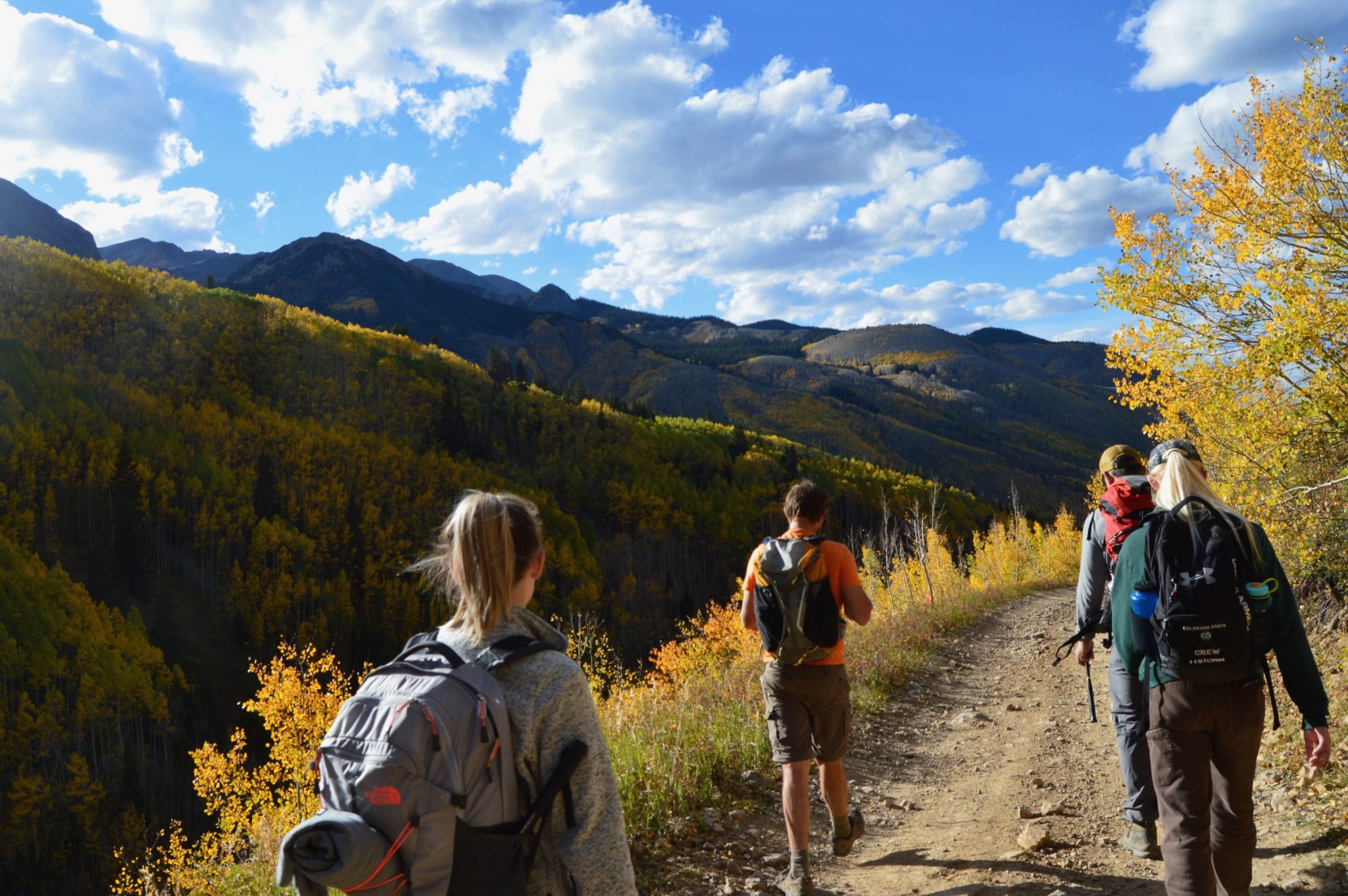 Students walking along two track road in aspen forest with golden leaves