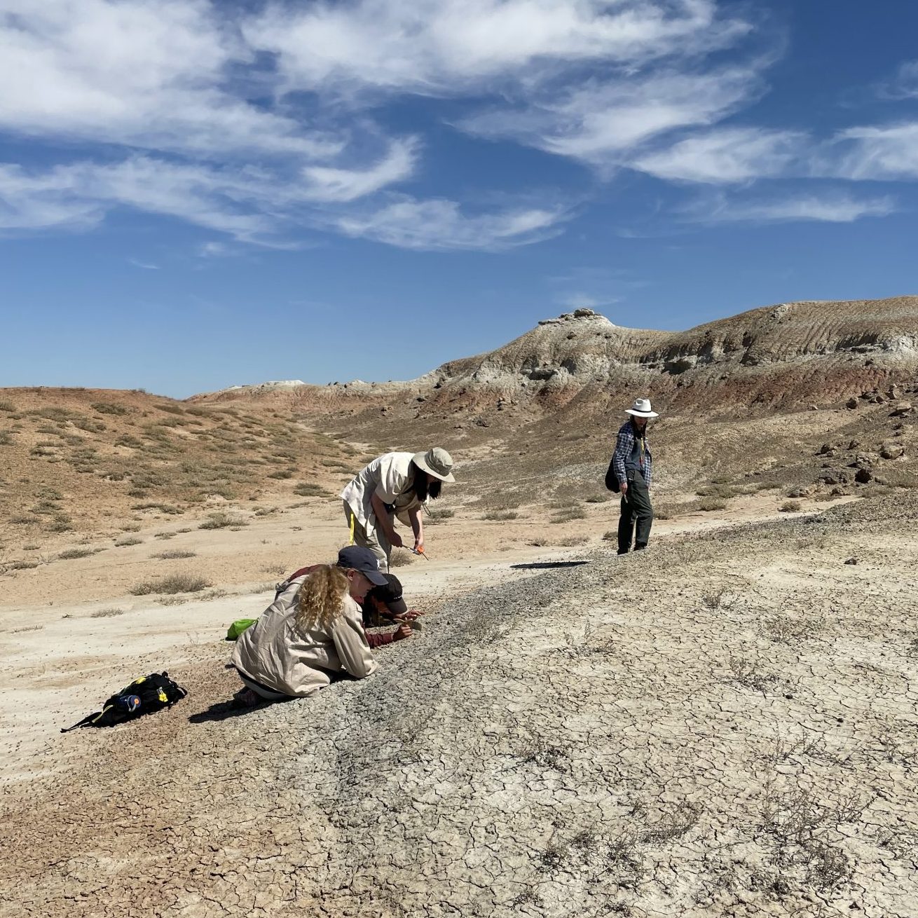 Students searching for fossils in badlands