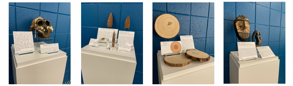 Anthropology and Geography Exhibition Gallery and Student Lounge Opens