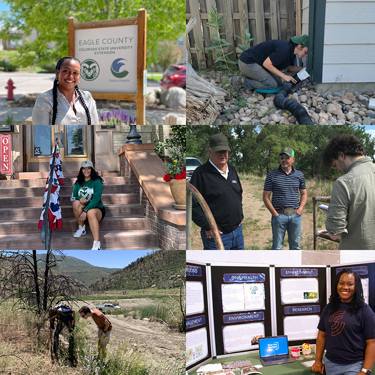 The Practical and Applied Side: Liberal Arts students intern with CSU Extension