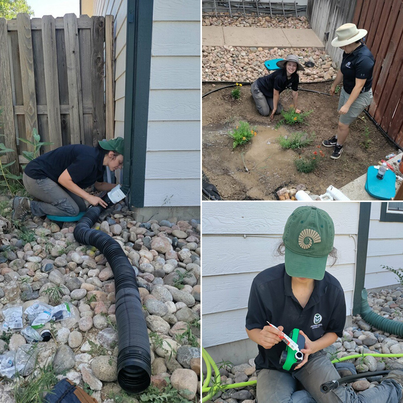 Rain Garden Summer: Anthropology graduate student interns with Colorado Stormwater Center