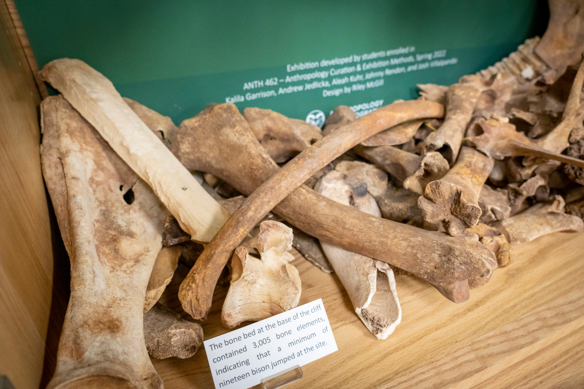 Just what is in the Clark A basement?