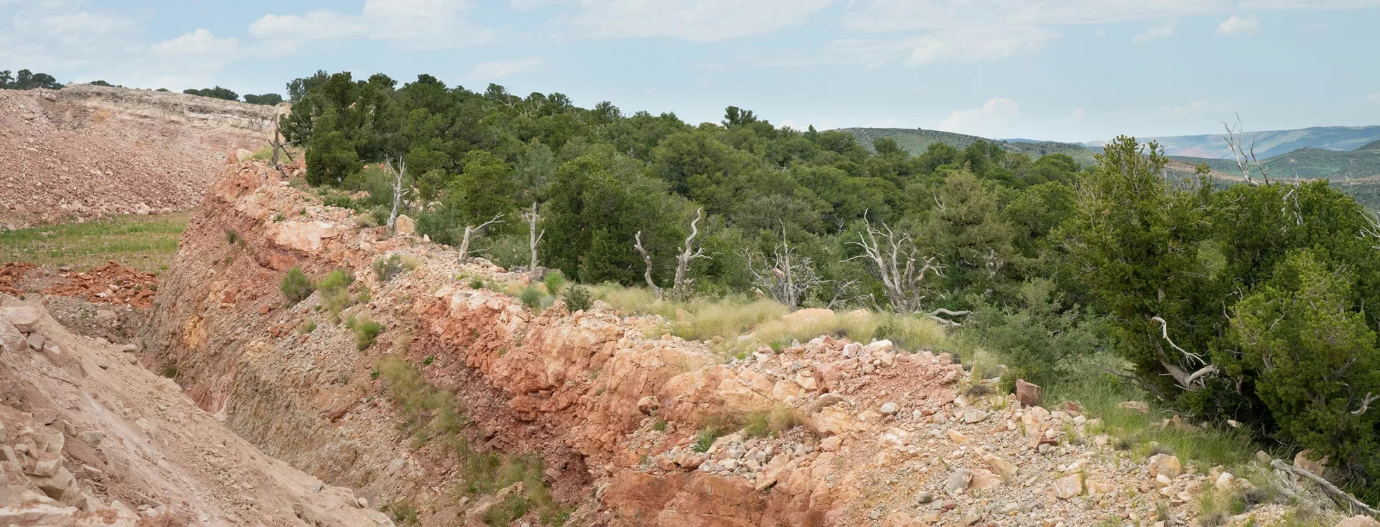 Saving the mysterious piñon pines of Owl Canyon