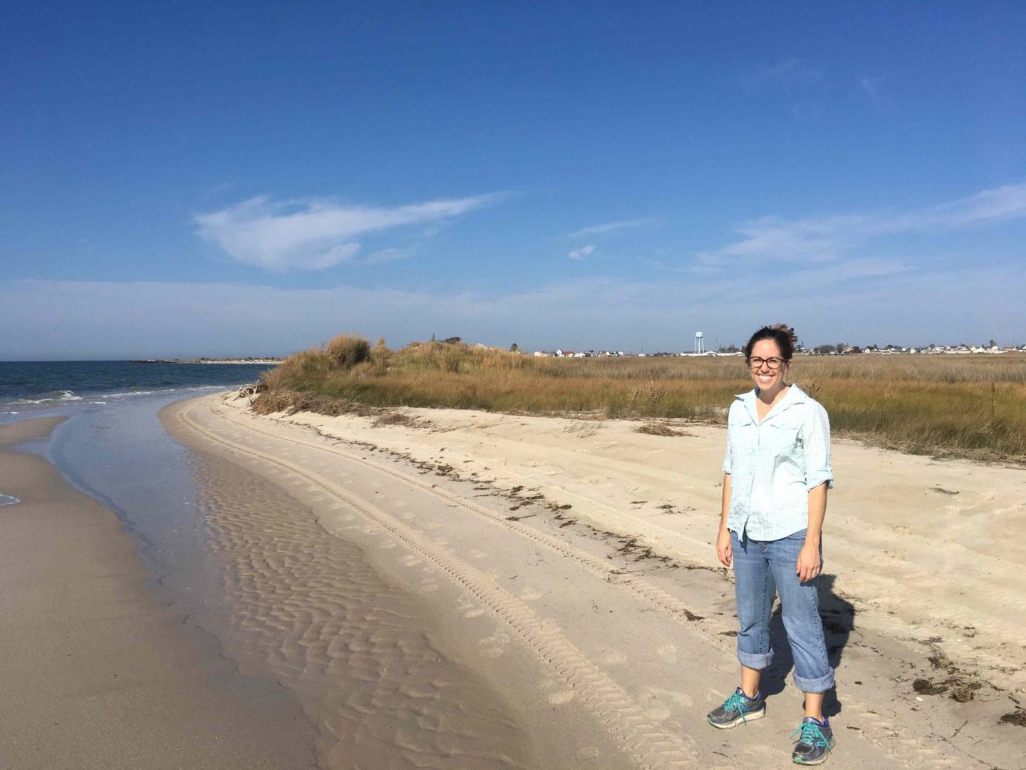 Professor standing on beach on island