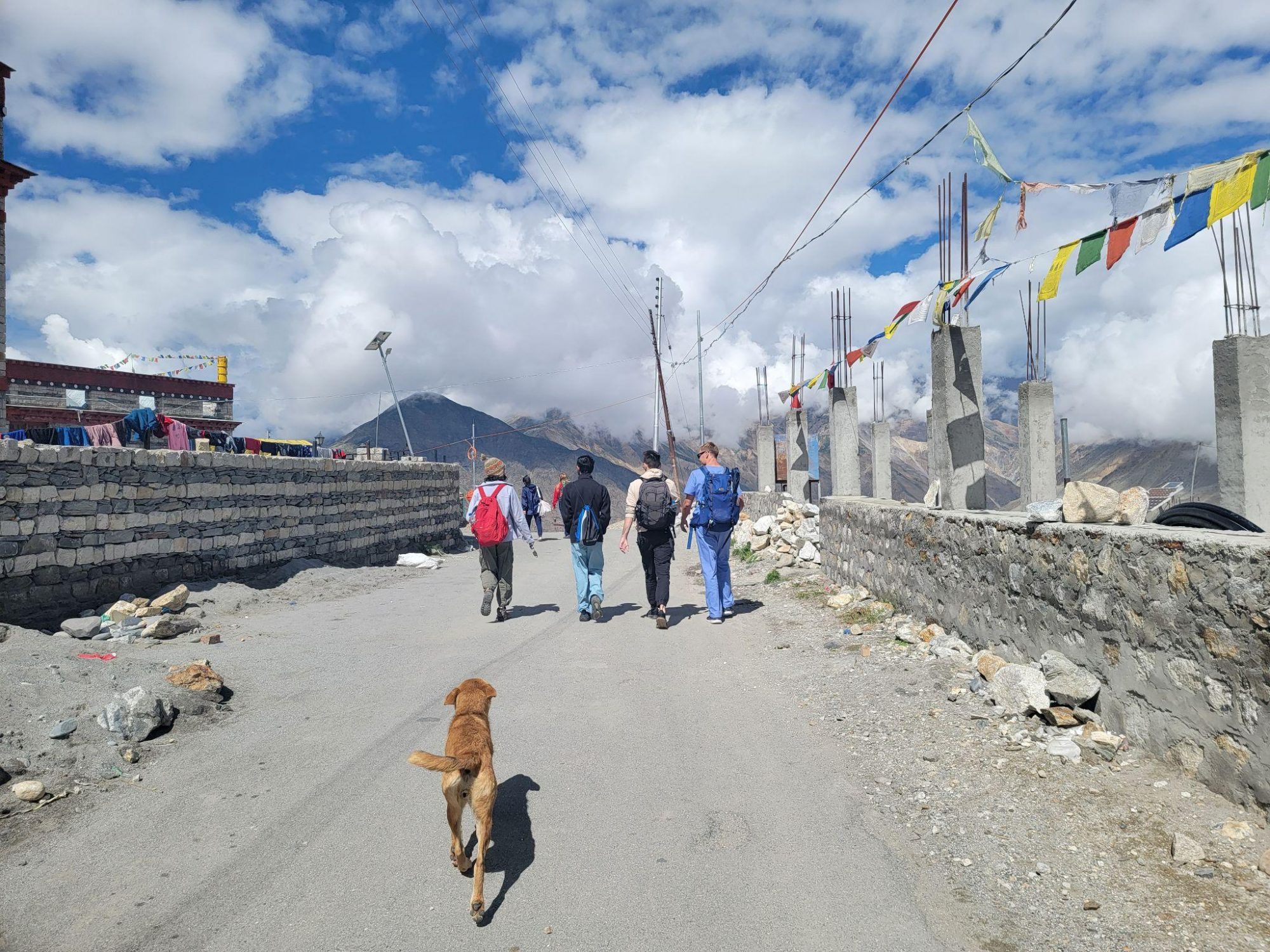 Exploring Healthcare in Northern India