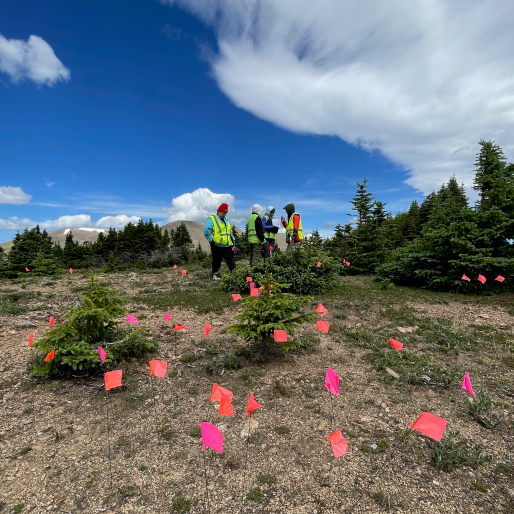 Photo of students in green vests gathered and reviewing notes with pink flags in foreground