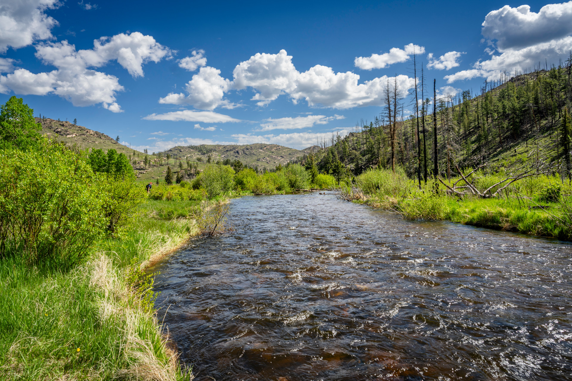 CSU research will inform policies for instream flows