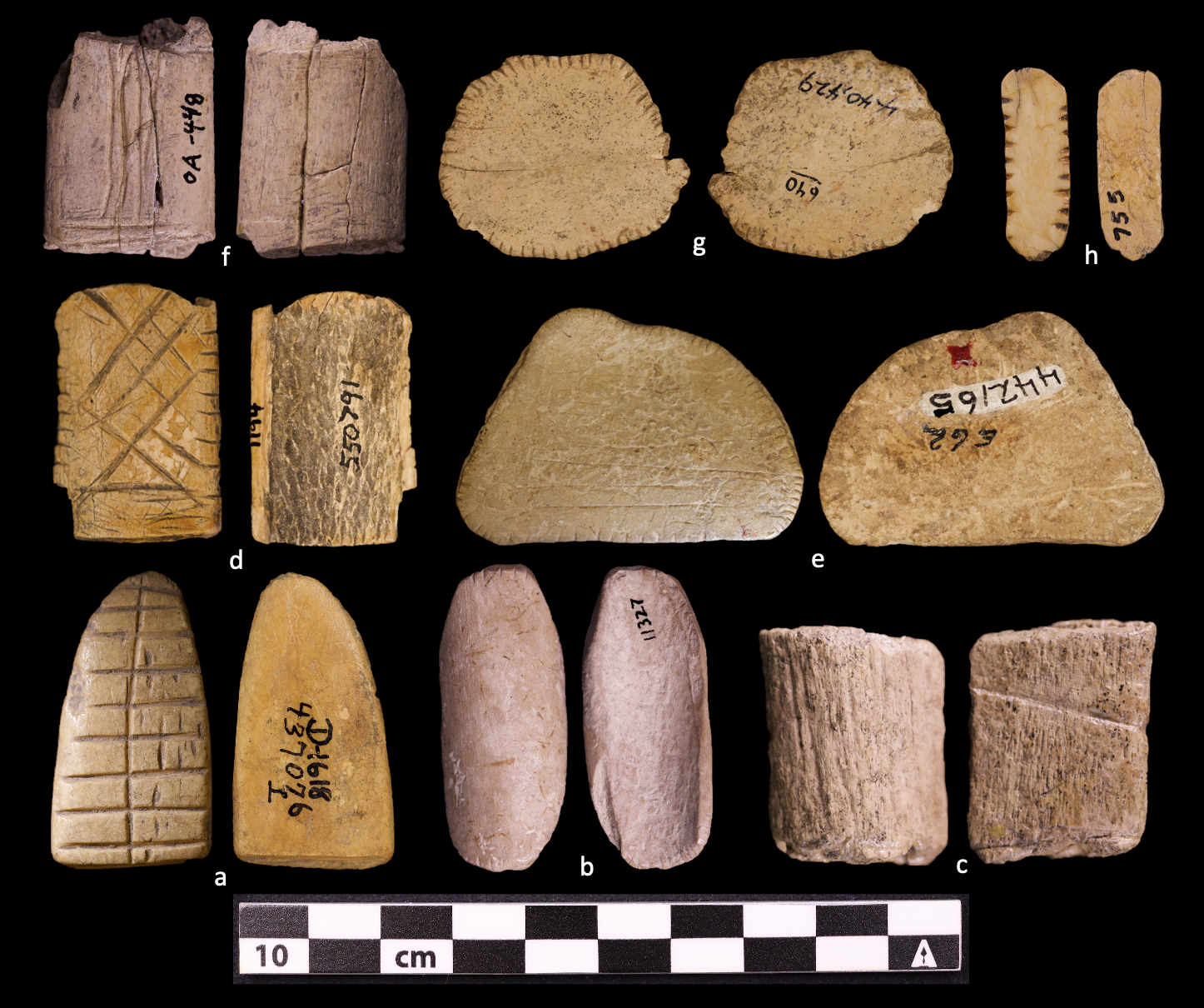 A roll of the dice: How Native Americans shaped gambling and probability long before the Old World